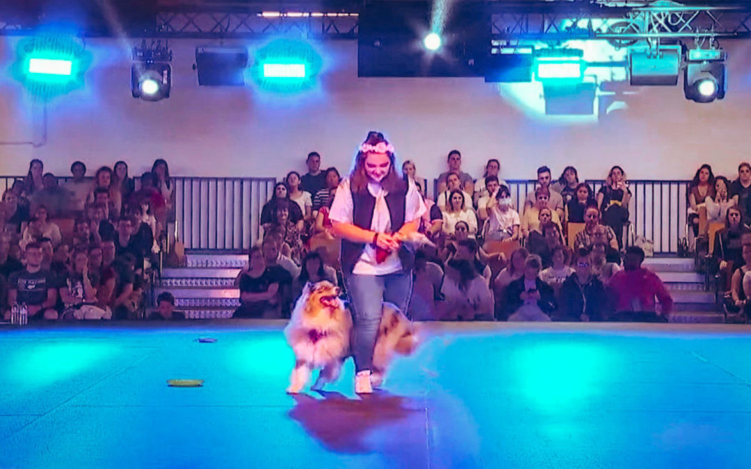 Battle de tricks à Esprit Dog Show 