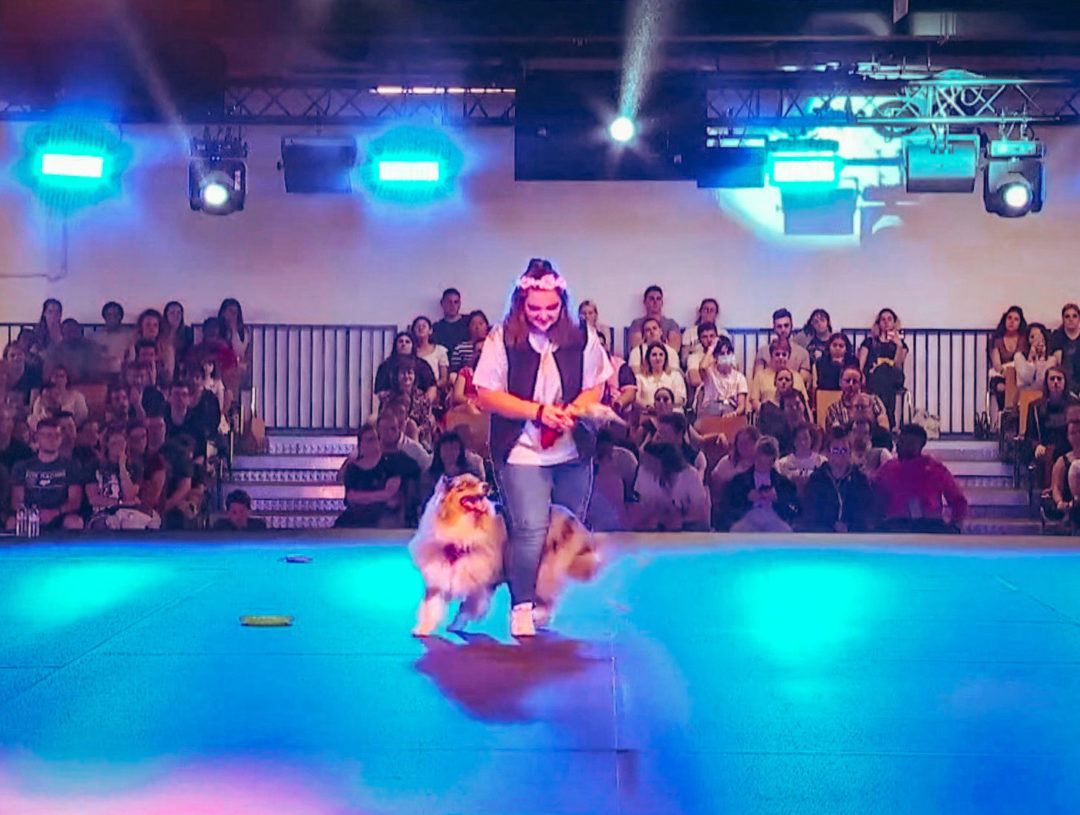 Battle de tricks à Esprit Dog Show 