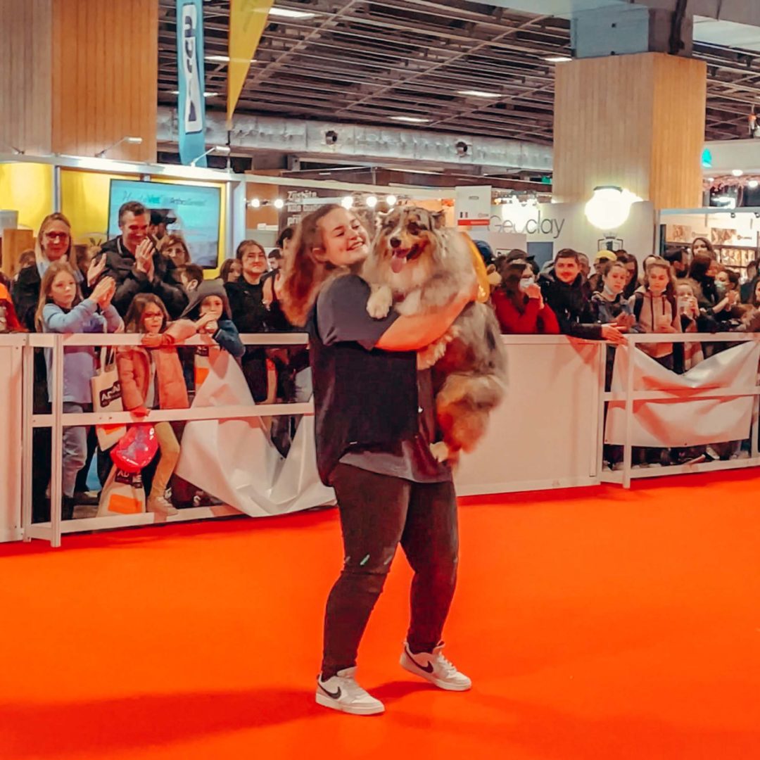 Démo dog dancing à Paris Animal Show 2022 