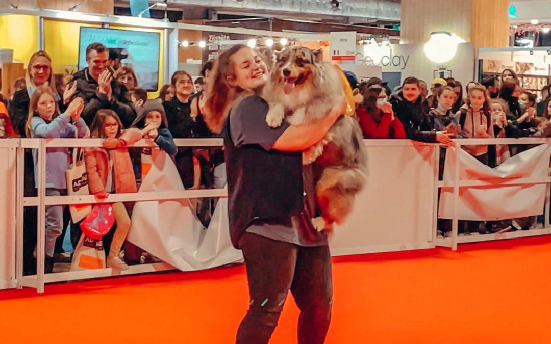 Démo dog dancing à Paris Animal Show 2022 