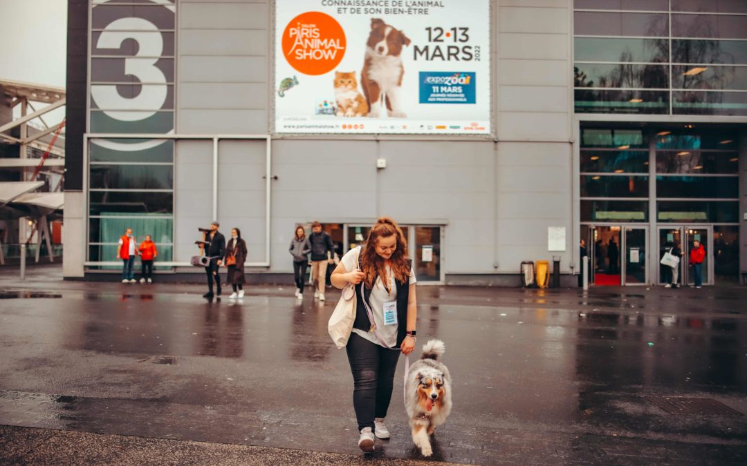 Démo Dog Dancing à Paris Animal Show 2022