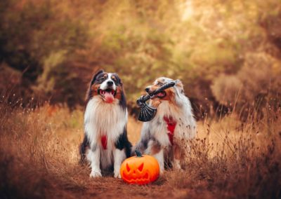 Photographie Halloween 2022