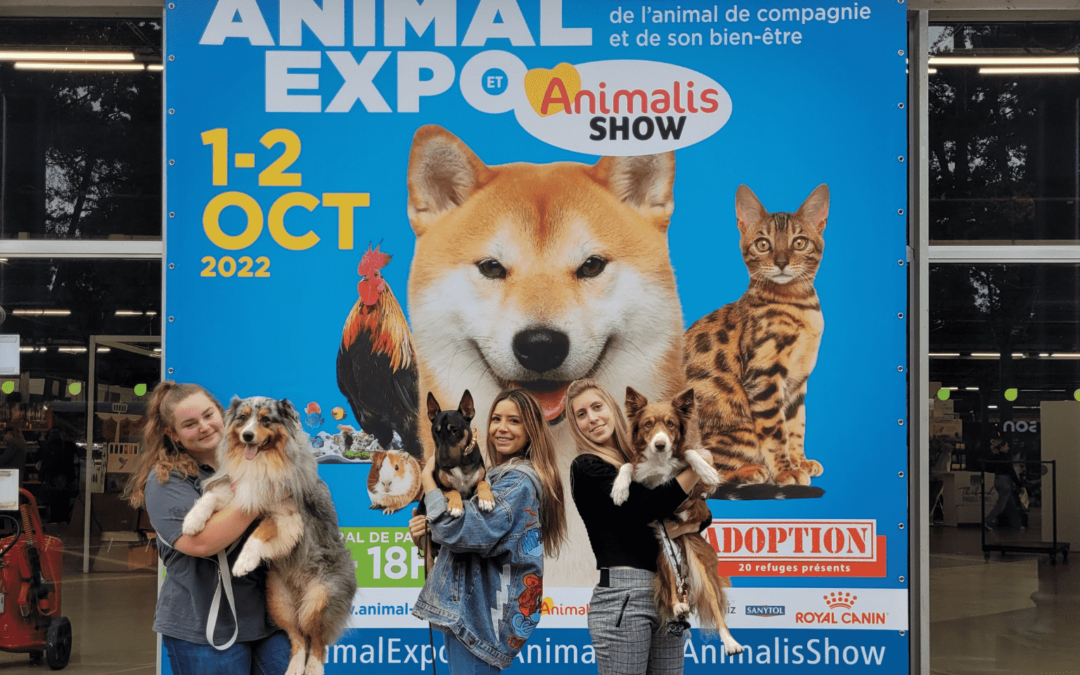 Démo de Dog Dancing à Animal Expo 2022