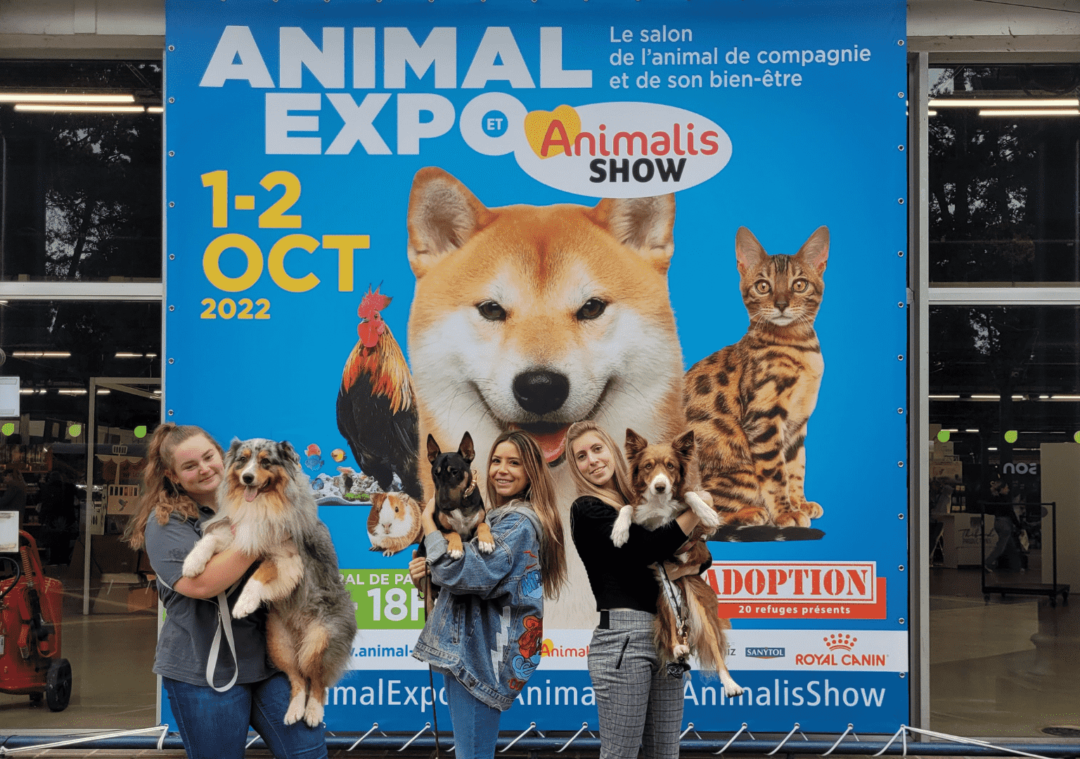 Démo de Dog Dancing à Animal Expo 2022