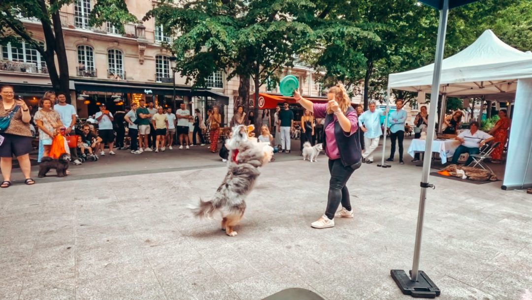 Démo de Dog Dancing au forum des animaux en ville (Paris 17e)