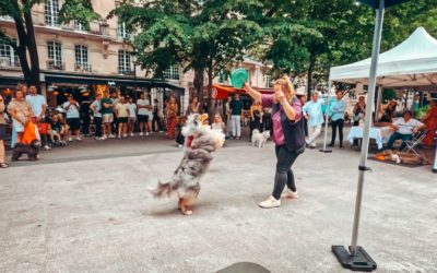 Prestation de Dog Dancing au Forum des Animaux en Ville (Paris 17e)