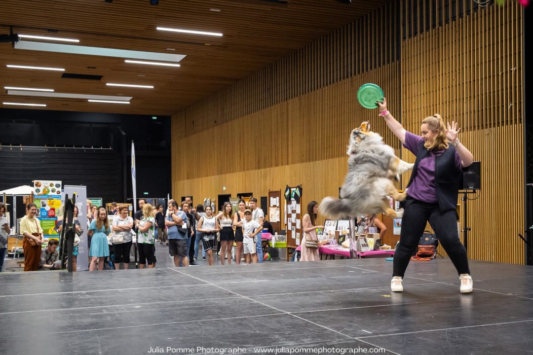 Démo de Dog Dancing au salon des Ani’Meaux