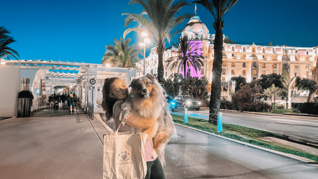 Démo de Dog Dancing au Negresco