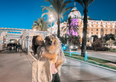 Démo de Dog Dancing au Negresco