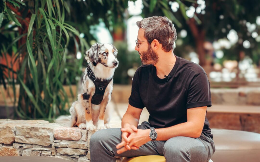 Dog at Work chez Royal Canin