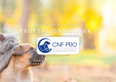 Community Manager CNF PRO